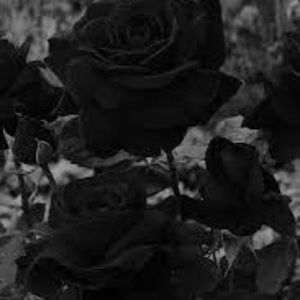 Meet your Posher, Destinee